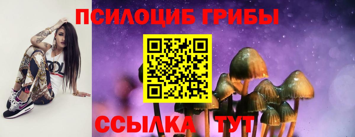 Псилоцибиновые грибы прущие грибы Омск