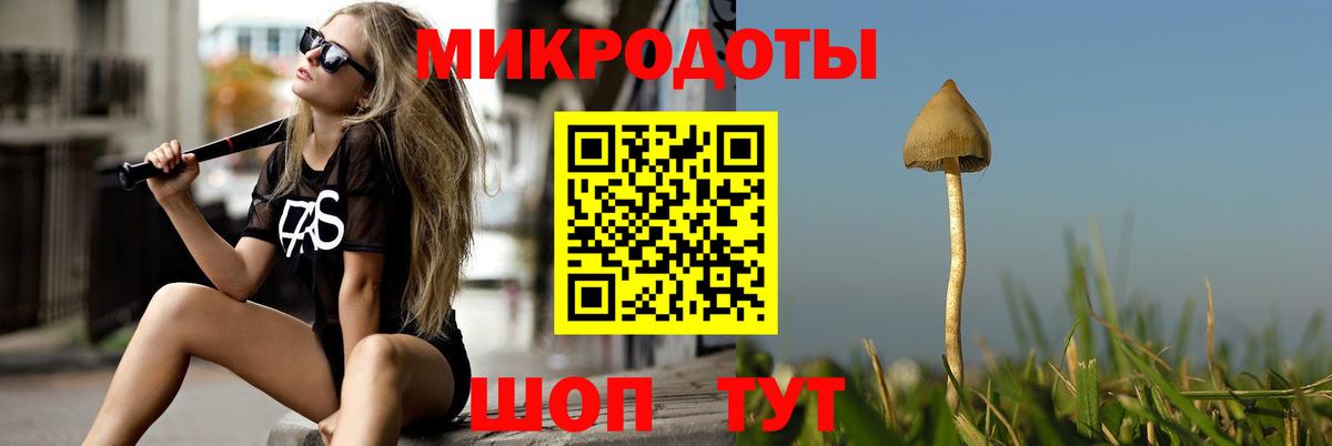 Галлюциногенные грибы Psilocybe  Вход с VPN  Омск 